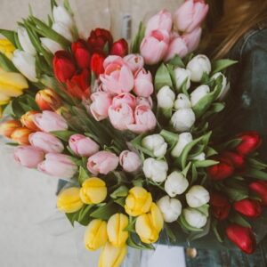 Tulips (mixed colors: red, pink, yellow, white)