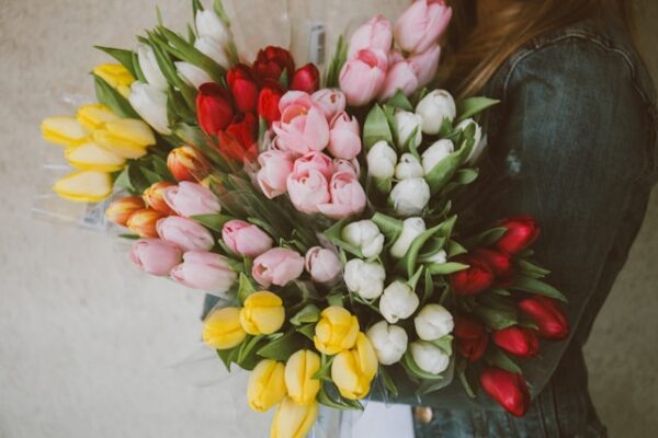 Tulips (mixed colors: red, pink, yellow, white)