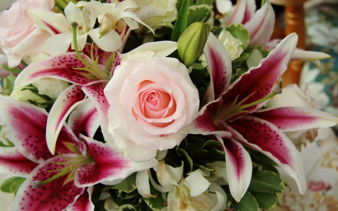 Annyalla Flower Delivery: Blooming Bliss Delivered Straight to Your Door