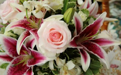 Annyalla Flower Delivery: Blooming Bliss Delivered Straight to Your Door