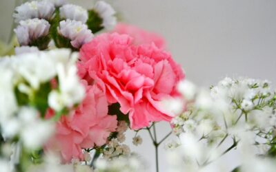Blooming Beauties Delivered: Your Ultimate Guide to Flower Delivery in Ballyduff
