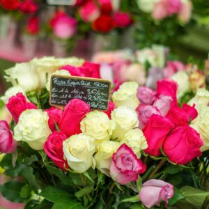 Roses (pink and white mix)