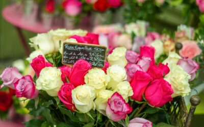 Send Beautiful Blooms: Expert Flower Delivery Ballinskells (Baile an Sceilg) for Every Occasion