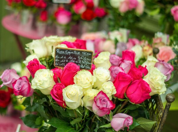 Roses (pink and white mix)