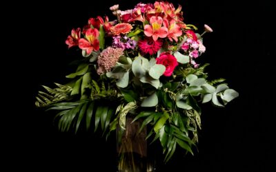 Ardfield Flower Delivery: Discover the Freshest Blooms & Expert Floral Arrangements for Every Occasion
