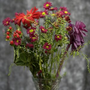 Cosmos (orange/red) and Dahlias (purple)