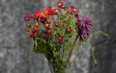 Send Stunning Blooms: Your Ultimate Guide to Flower Delivery in Askeaton