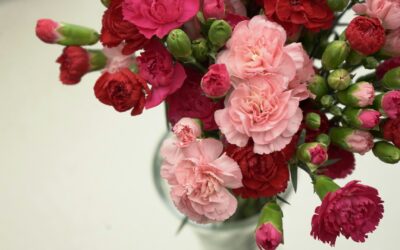 Same-Day Flower Delivery An Fál Carrach: Brighten Days in Falcarragh & Cross Roads with Fresh Blooms