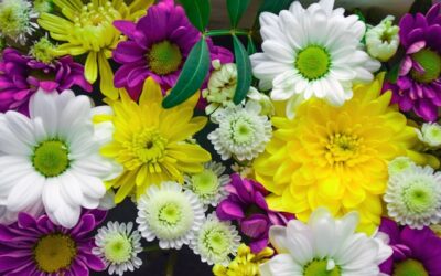 Expert Flower Delivery Ballinascarty: Surprise & Delight with Fresh Blooms