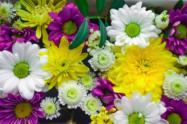 Expert Flower Delivery Ballinascarty: Surprise & Delight with Fresh Blooms