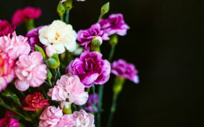 Flower Delivery Goleen: Brighten Every Occasion with Stunning Blooms from Our Local Experts