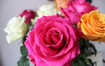 Baltinglass Flower Delivery: Your Ultimate Guide to Sending Blooms & Beauty