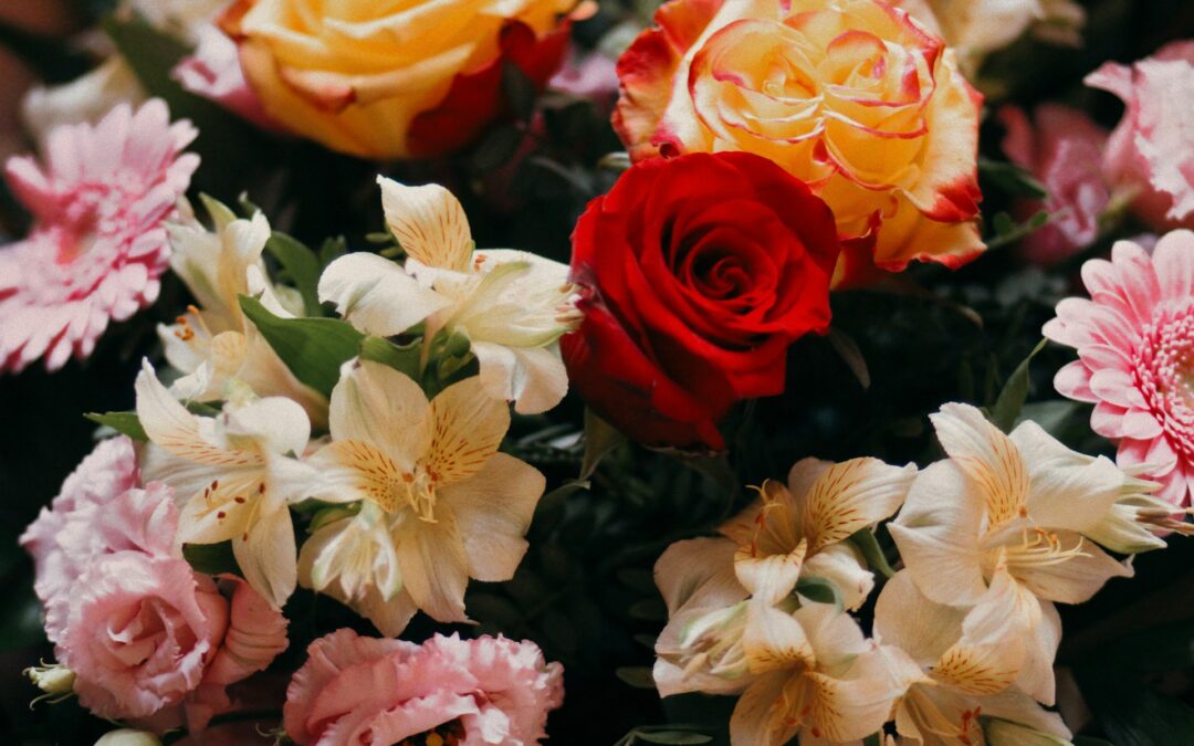 Belcarra Flower Delivery: The Ultimate Guide to Sending Stunning Bouquets to Your Door