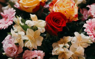 Belcarra Flower Delivery: The Ultimate Guide to Sending Stunning Bouquets to Your Door