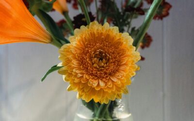 Ardara Flower Delivery: Sending Blooms & Beauty Directly to Your Door in Ardara