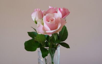Ballinacurra Flower Delivery: The Ultimate Guide to Sending Blooms for Every Occasion