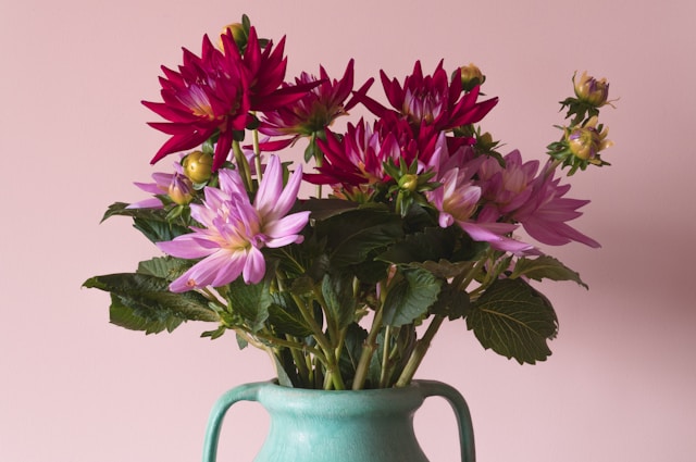 Fresh Flower Delivery Ballyferriter: Brighten Your Special Moments in Baile an Fheirtéaraigh