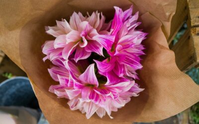 Blooming Joy: Expert Flower Delivery in Aghamore for Every Occasion