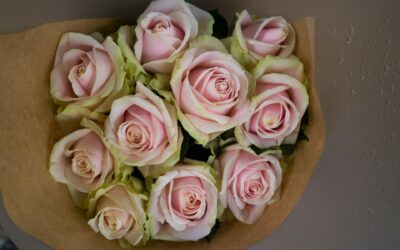 Send Blooms with Love: Expert Flower Delivery in Athgarvan for Every Occasion