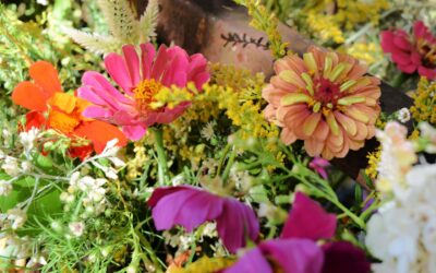 Flower Delivery Ballyhea: Expert Tips for Stunning Bouquets & Same-Day Blooms