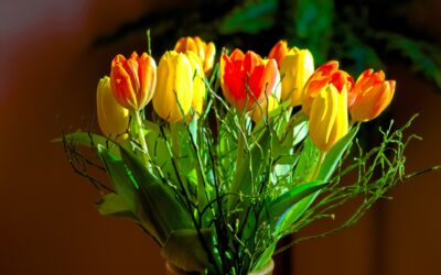 Same-Day Flower Delivery Ailt an Chorráin (Burtonport): Brighten Every Occasion with Fresh Blooms