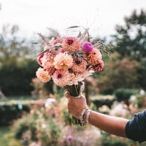 Dahlias (mixed bouquet, pink and peach shades)