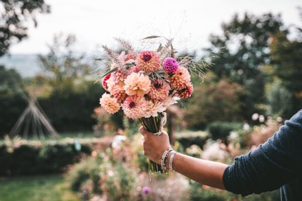 Dahlias (mixed bouquet, pink and peach shades)