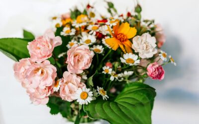 Adamstown Flower Delivery: Fresh Blooms & Expert Arrangements for Every Occasion