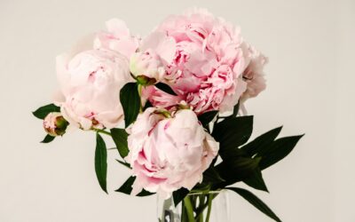 Spidéal Blooms: Your Ultimate Guide to Flower Delivery in Spiddle, County Galway