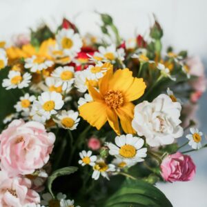 Daisies (Chamomile) with Yellow Coreopsis and Roses