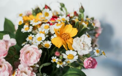 Balgriffin Flower Delivery: Fresh Blooms & Thoughtful Bouquets for Every Occasion