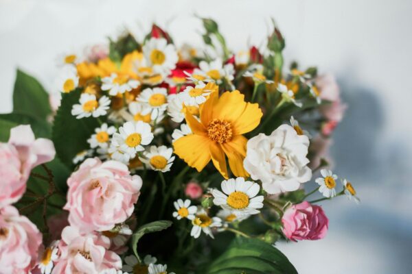 Daisies (Chamomile) with Yellow Coreopsis and Roses