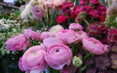 Ballinagar Flower Delivery: Fresh Blooms & Same-Day Service for Every Occasion