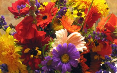 Flower Delivery Ballycolla: Fresh Blooms for Every Occasion, Delivered with Care