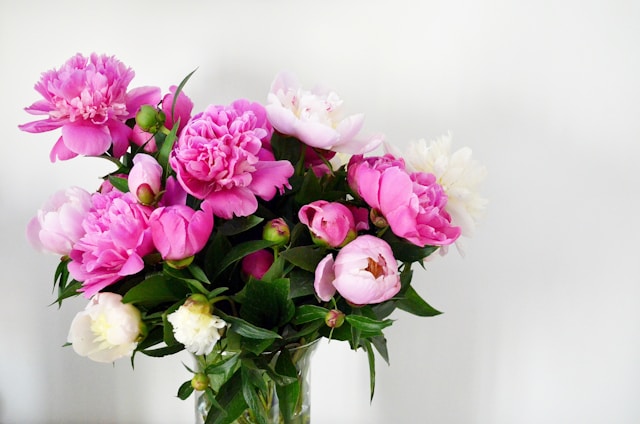 Same-Day Flower Delivery Aghada & Rostellan: Brighten Your Day with Stunning Blooms