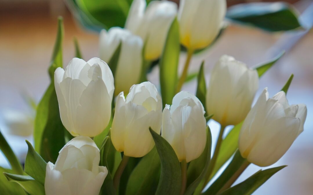 Blooming Beauty Delivered: Your Ultimate Guide to Flower Delivery in An Iarmhi (Westmeath)
