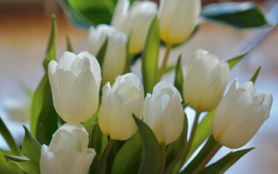 Blooming Beauty Delivered: Your Ultimate Guide to Flower Delivery in An Iarmhi (Westmeath)
