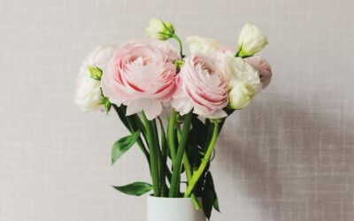Ardpatrick Flower Delivery: Fresh Blooms & Same-Day Service for Every Occasion