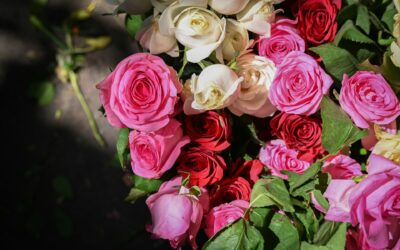Flower Delivery Croghan: Brighten Your Day with Fresh Blooms Delivered