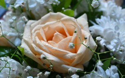 Ardmore Flower Delivery: Brighten Any Occasion with Stunning Bouquets & Same-Day Service