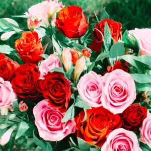 Roses (red and pink bouquet)