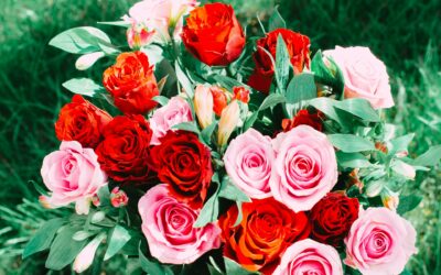 Bawnboy Blooms: Your Ultimate Guide to Stunning Flower Delivery in Bawnboy