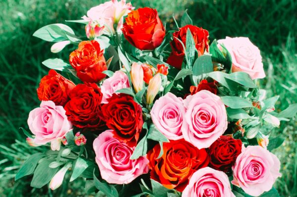 Roses (red and pink bouquet)