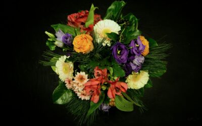Abbeylara Flower Delivery: Brighten Any Occasion with Fresh Blooms from Your Local Florist