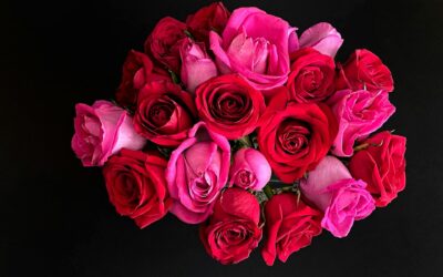 Flower Delivery Balrothery: Brighten Every Occasion with Fresh Blooms