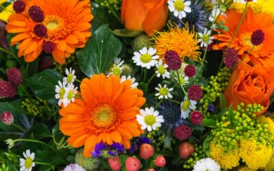 Flower Delivery Abbeyknockmoy: Fresh Blooms & Lasting Impressions Delivered