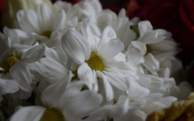Effortless Flower Delivery Ballysimon: Brighten Any Occasion with Stunning Blooms