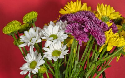 Brighten Their Day: Expert Flower Delivery Services in Ballydesmond for Every Occasion