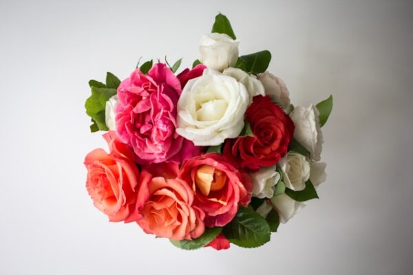 Roses (variety of colors, mostly pink and white shades)