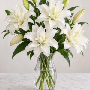 Ivory White Frilled Liliums
